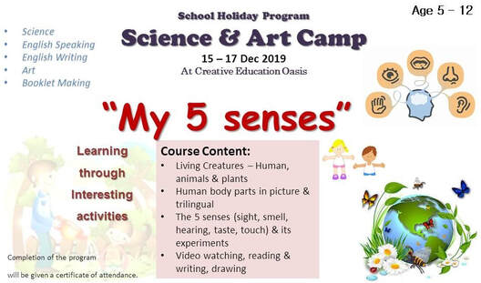 My Five Senses Science Holiday Program