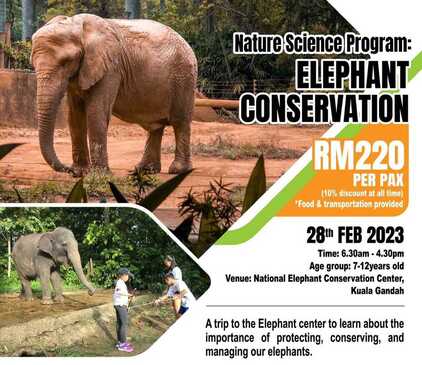 elephant conservation science trip