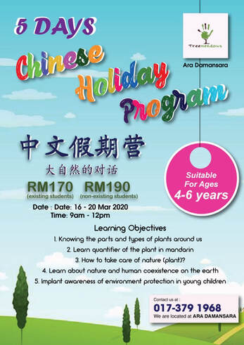 mandarin holiday program