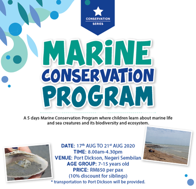 summer marine conservation holiday program